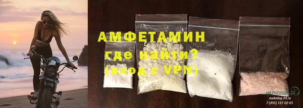 индика Аркадак
