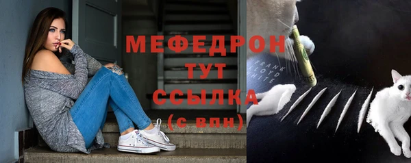 индика Аркадак
