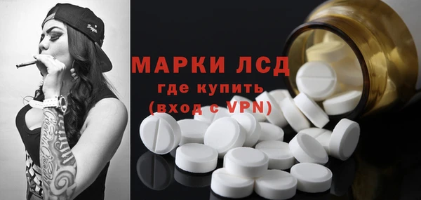 индика Аркадак
