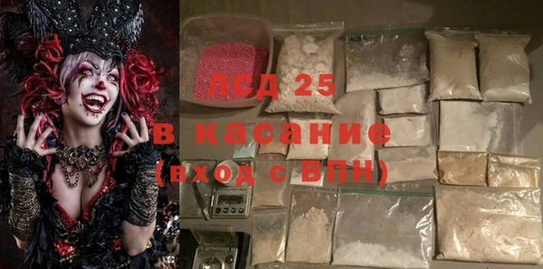 индика Аркадак