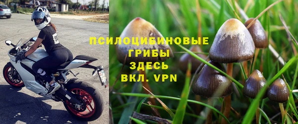 стафф Армянск