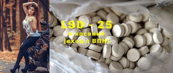 индика Аркадак